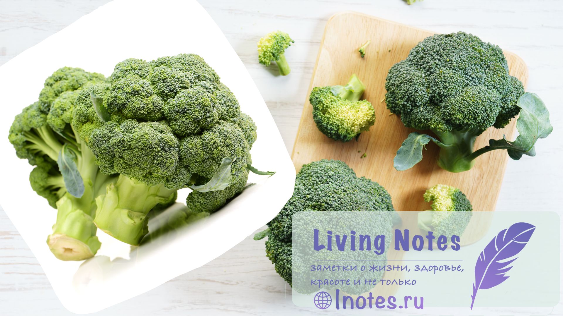 Брокколи: польза и вред, калорийность и рецепты - польза и вред брокколи