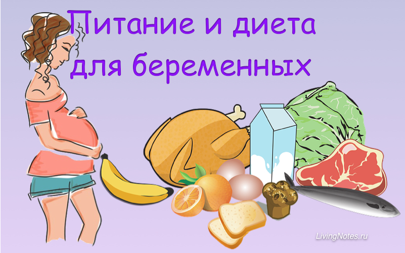 Диета и питание для беременных по триместрам