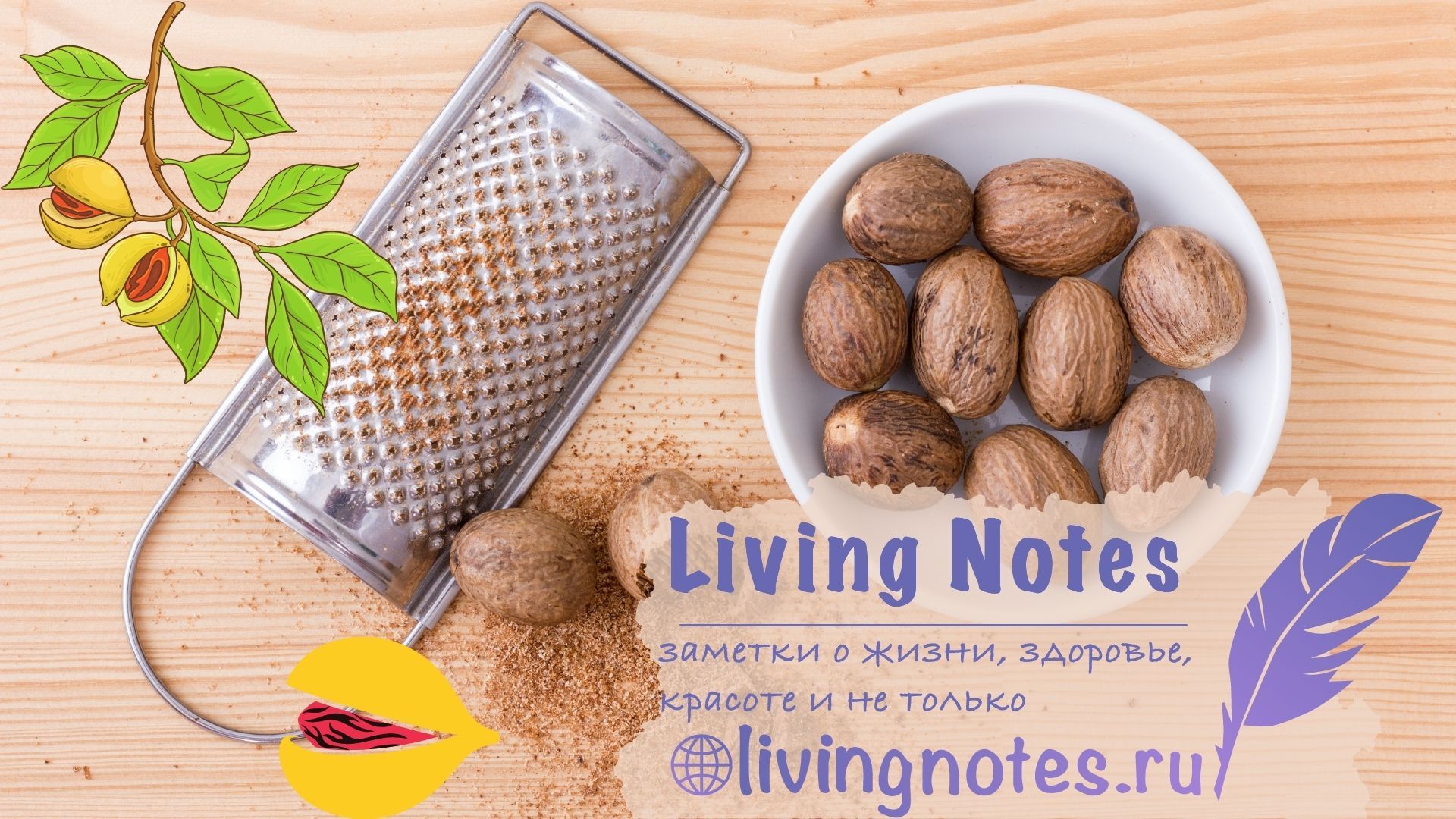 Мускатный орех - пряность, свойства, эффект, применение.