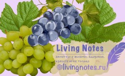 Польза винограда для здоровья | Можно ли есть виноград при похудении?