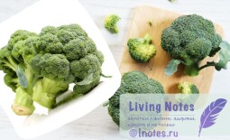 Брокколи: калории и состав, польза и вред, рецепты