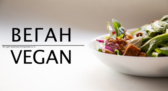 Что нужно знать о вегетарианстве | рецепты