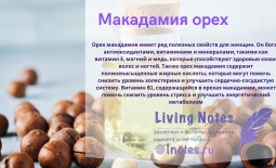Макадамия орех: калорийность, после 50? польза и вред для организма