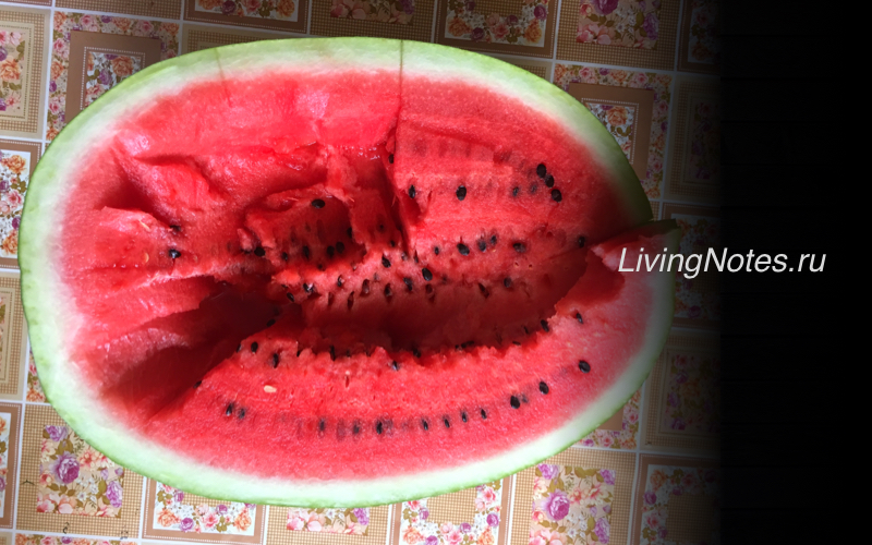 Арбузная диета
