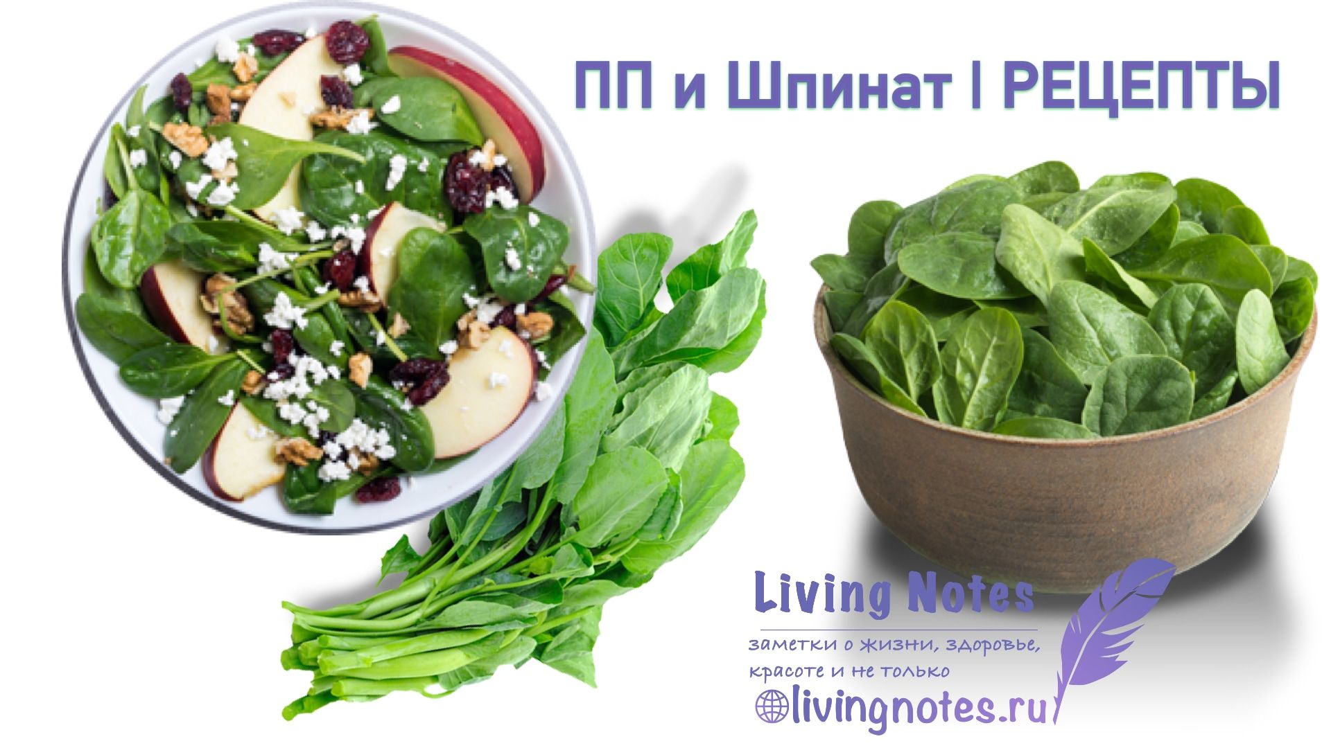 7 способов использовать шпинат