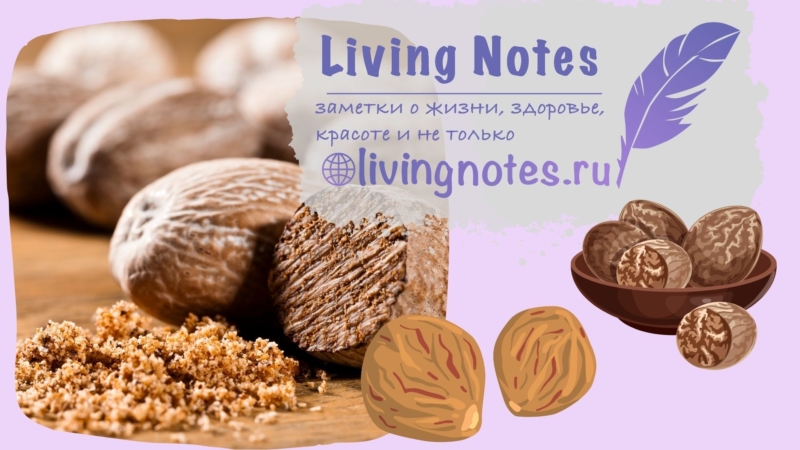 мускатный орех