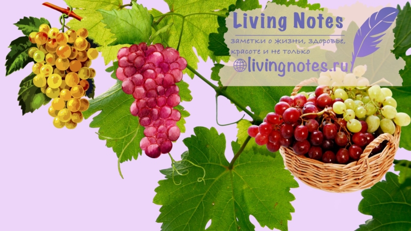виноград при похудении