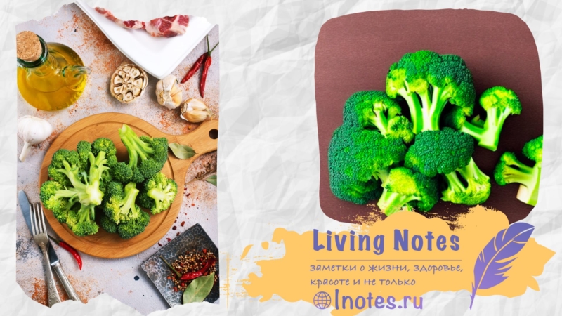 польза и вред брокколи