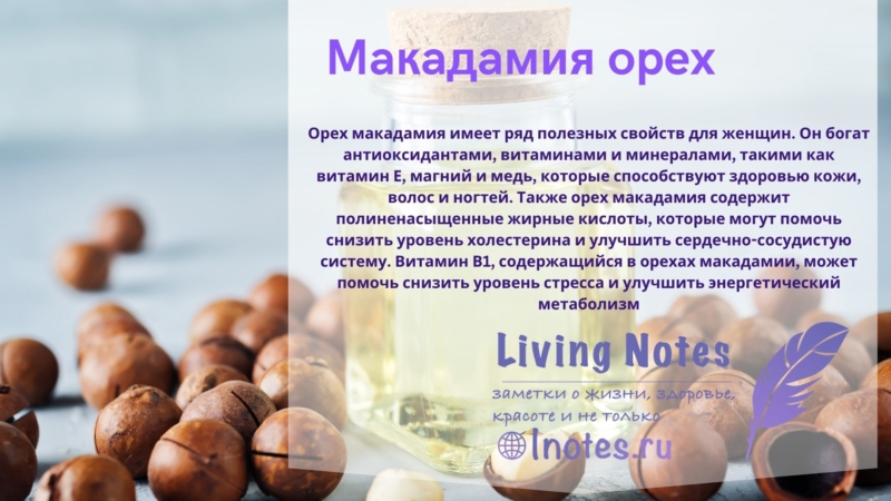 Макадамия орех: калорийность, польза для женщин после 50 лет.